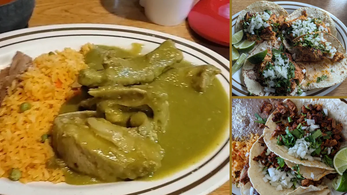Tacos and burritos served in a straightforward setting.
